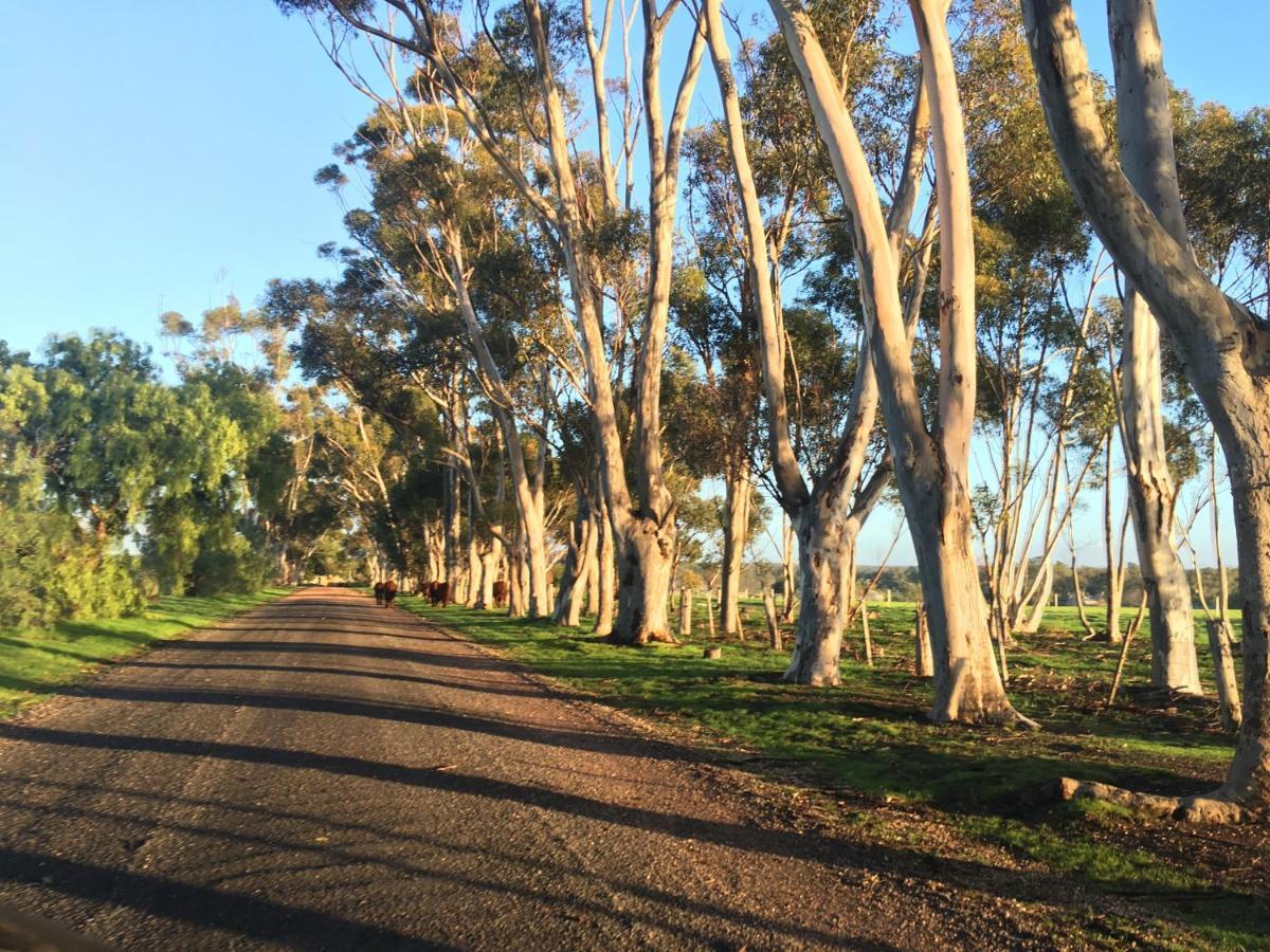 Lochinver Homestead And Cottages Maryborough Buitenkant foto