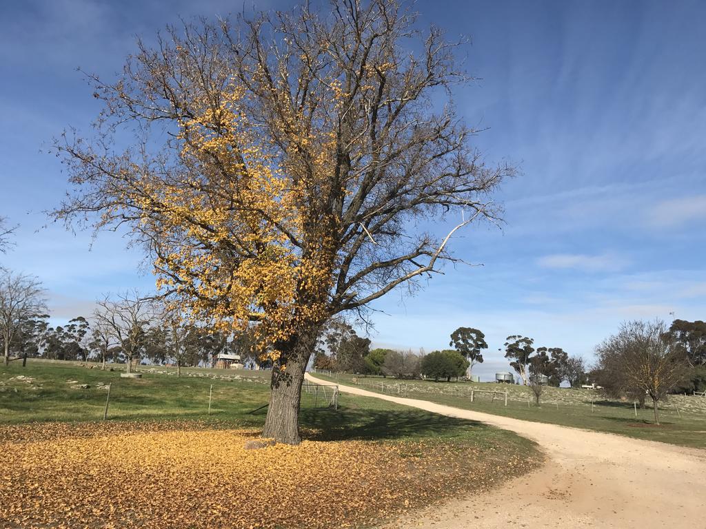 Lochinver Homestead And Cottages Maryborough Buitenkant foto